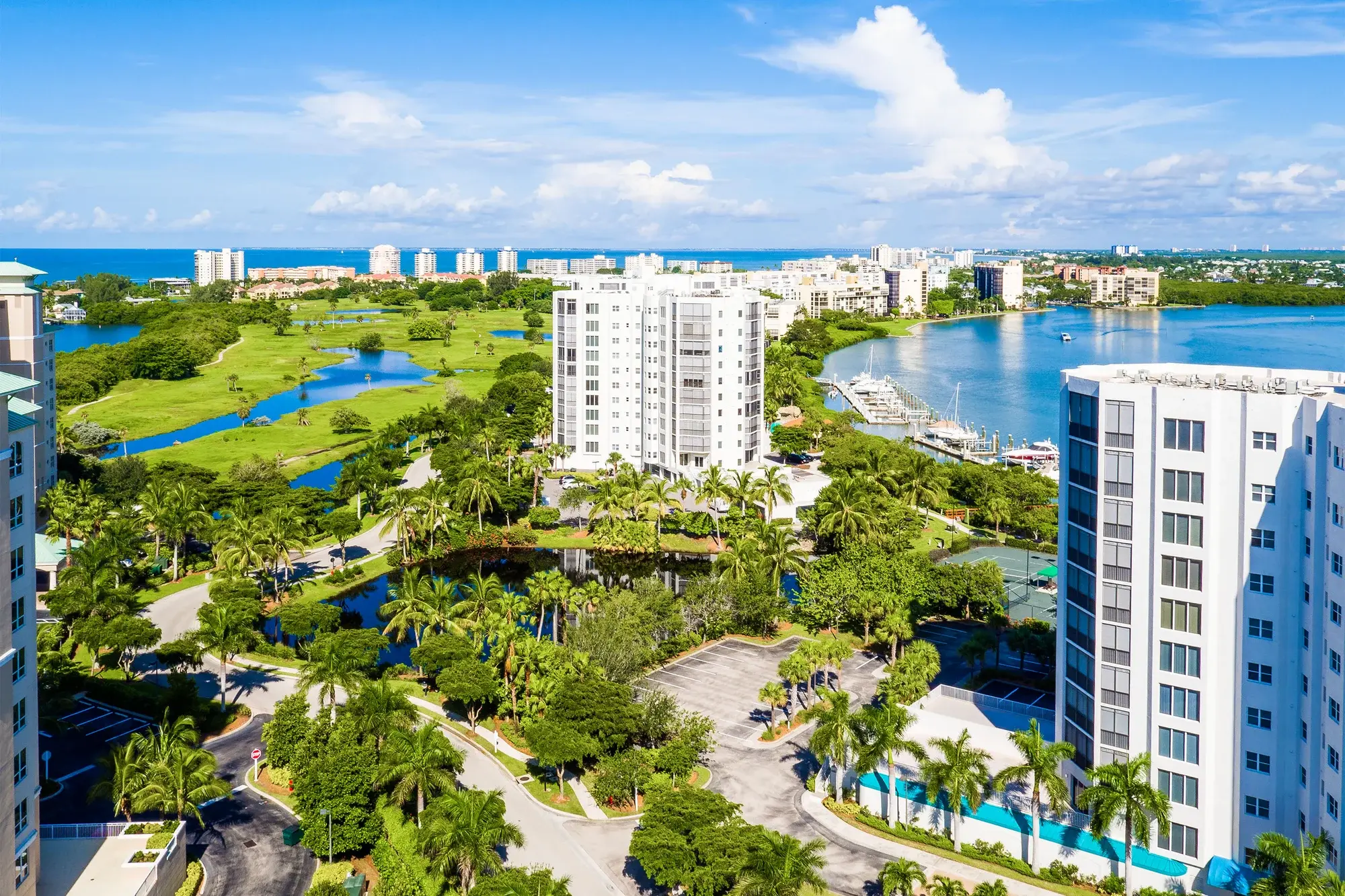 The Best Beaches for Beachcombing and Shelling In Florida