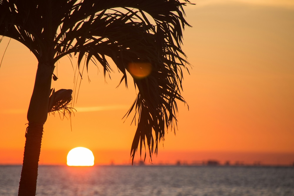Things to Know About Luxury Living in Florida Beach Towns
